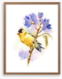 Little goldfinch Framed Art Print 137510377