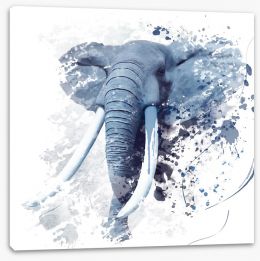 Animals Stretched Canvas 137525733