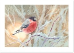 Bullfinch in the frost Art Print 137551068