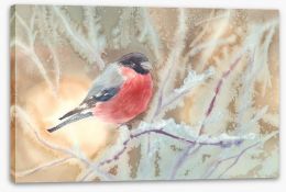 Bullfinch in the frost Stretched Canvas 137551068