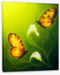 Butterflies Stretched Canvas 137968314