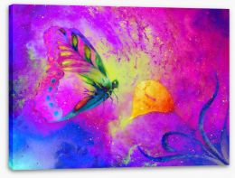 Butterflies Stretched Canvas 137968554