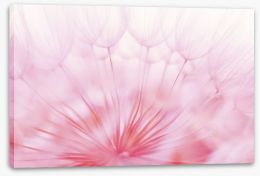 Flowers Stretched Canvas 139208159