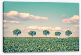 Trees Stretched Canvas 139564745