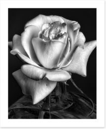 Black and White Art Print 139805106