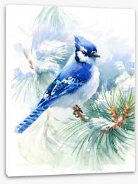 Blue jay snowfall Stretched Canvas 140872572