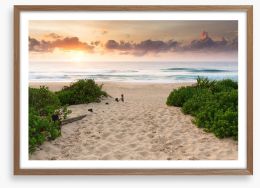 Dawn at the beach Framed Art Print 141196974