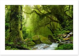Forests Art Print 141618773