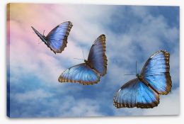 Butterflies Stretched Canvas 14196513