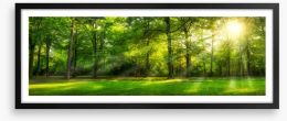 Sunburst forest panorama Framed Art Print 142080280