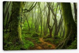 Forests Stretched Canvas 142175306