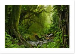 Forests Art Print 142175356