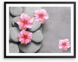 Petunia pebbles Framed Art Print 142500940