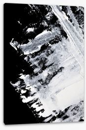 Black and White Stretched Canvas 142848319