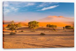 Africa Stretched Canvas 143148365