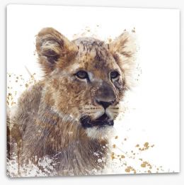 Animals Stretched Canvas 144610341