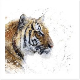 Animals Art Print 144610905