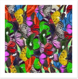 Butterflies Art Print 144696252