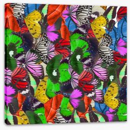 Butterflies Stretched Canvas 144696252