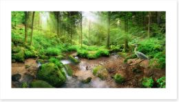 Forests Art Print 145266359
