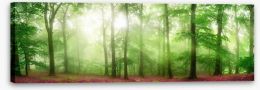 Forests Stretched Canvas 145266479