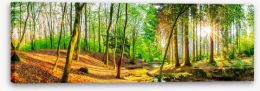 Forests Stretched Canvas 145954285