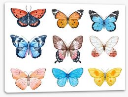 Butterflies Stretched Canvas 146038708
