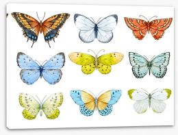 Butterflies Stretched Canvas 146038733