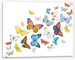 Butterflies Stretched Canvas 146038771