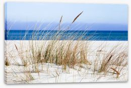 Beaches Stretched Canvas 147496945