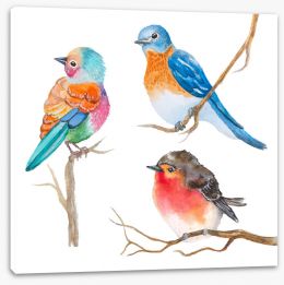 Birds Stretched Canvas 147572983
