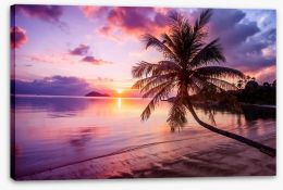 Sunsets / Rises Stretched Canvas 147588348
