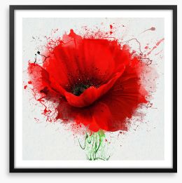 Poppy splash Framed Art Print 148060702