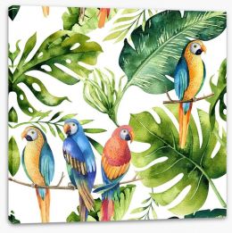 Birds Stretched Canvas 148082679