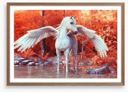 Pegasus in fall Framed Art Print 149772353