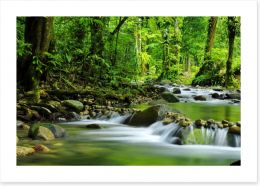 Green jungle stream Art Print 15363026