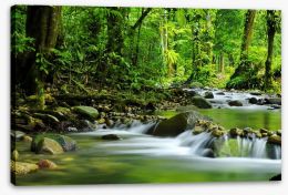 Green jungle stream Stretched Canvas 15363026