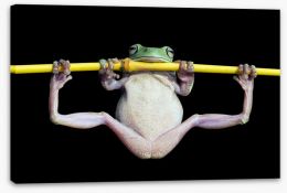 Reptiles / Amphibian Stretched Canvas 155931792