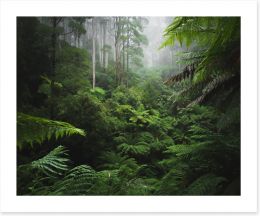 Forests Art Print 156095781