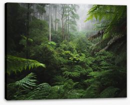 Forests Stretched Canvas 156095781
