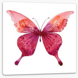 Butterflies Stretched Canvas 157295069