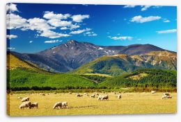 New Zealand Stretched Canvas 15731267