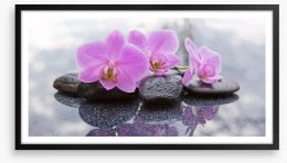 Orchid petal pebbles Framed Art Print 157703168