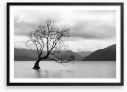 That Wanaka tree Framed Art Print 158504640