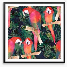 Midnight parrots Framed Art Print 158573925