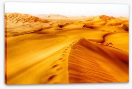 Desert Stretched Canvas 159160071