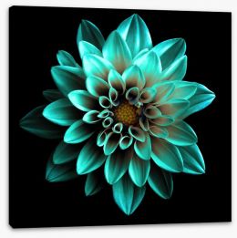 Flowers Stretched Canvas 159437319