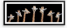 Seven giraffes Framed Art Print 159732335