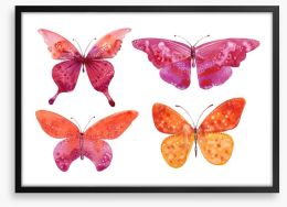 Butterflies Framed Art Print 159883928