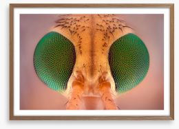 Insects Framed Art Print 160825000